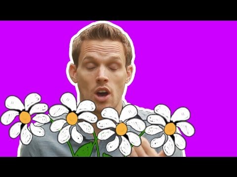 くしゃみをすると目をつぶってしまうのはなぜ？| グレッグ・フット｜ヘッドスクイーズ (Why do we close our eyes when we sneeze? | Greg Foot | Head Squeeze)