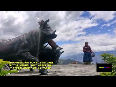 EL CHINCHINAL   -    EN LAS VOCES DE SUS AUTORES  -  VICTOR MANUEL RUIZ  &  EFRAIN GOMEZ DE LA TORRE