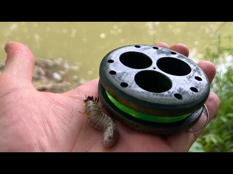 Handline Fishing w/ Grubs I find