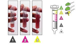 IDDSI Flow Test - Comparison Level 1-3