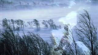 Mickey Newbury ~ Winter Winds Blow~