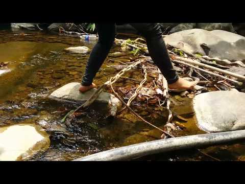 Field Linguistics Practice 2015 Trailer