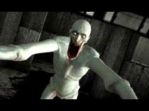 THE SCP YOU CANT RUN FROM