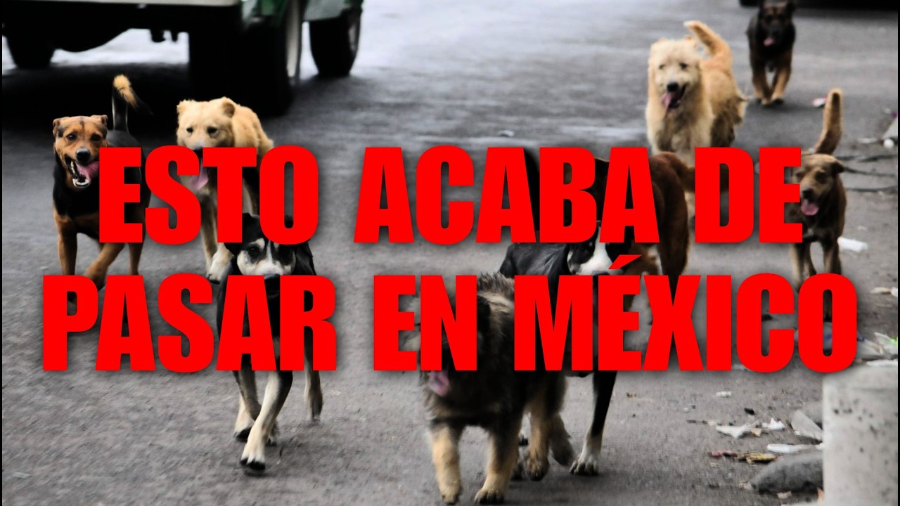 Esto acaba de pasar en México