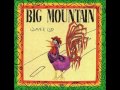 Big Mountain - Rastaman
