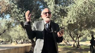 המקדש מצהיר על אמת תורת ה׳ | הרב חיים עוזר חייט (ישיבת הר הבית) - התמונה מוצגת ישירות מתוך אתר האינטרנט יוטיוב. זכויות היוצרים בתמונה שייכות ליוצרה. קישור קרדיט למקור התוכן נמצא בתוך דף הסרטון