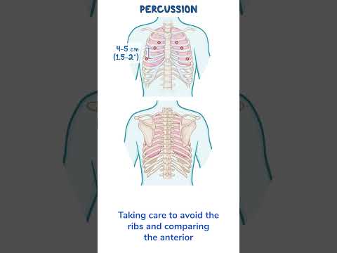 Assessment Clips: Assessment of the thorax and lungs