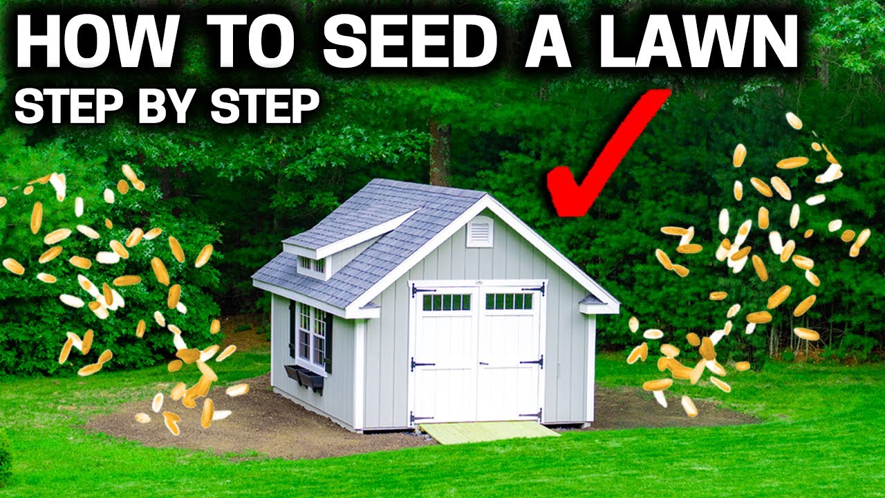 Lawn Renovation