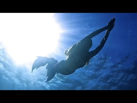 𐙚 “𝐦𝐞 𝐞𝐧𝐟𝐞𝐢𝐭𝐢ç𝐨𝐮 é? 𝐄𝐧𝐭ã𝐨 𝐚𝐠𝐨𝐫𝐚 𝐦𝐞 𝐥𝐞𝐯𝐚” 𝐚𝐫𝐪𝐮𝐞𝐭𝐢𝐩𝐨 𝐝𝐚 𝐬𝐞𝐫𝐞𝐢𝐚 + 𝐦𝐚𝐠𝐧𝐞𝐭𝐢𝐬𝐦𝐨 𝐞𝐱𝐭𝐫𝐞𝐦𝐨 | 𝐬𝐮𝐛𝐥𝐢𝐦𝐢𝐧𝐚𝐥