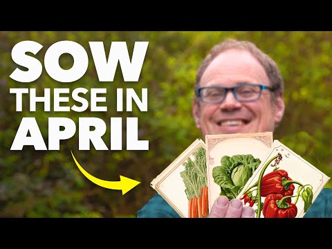 You Must Sow These Seeds in October