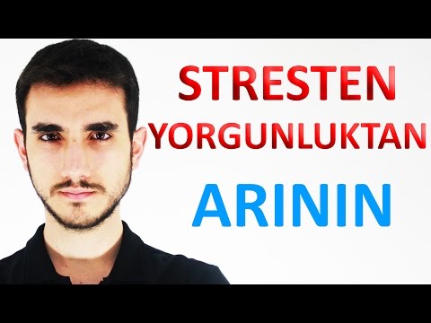 Günün Stresinden, Yorgunluğundan Arının Dinlenin