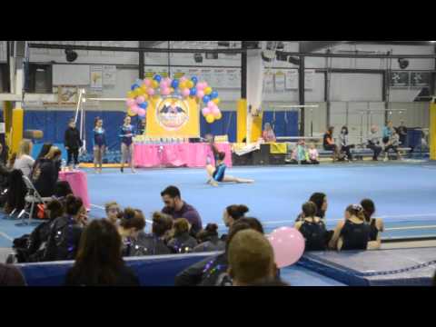 Level 9 | Pink Invitational 2016 | Floor