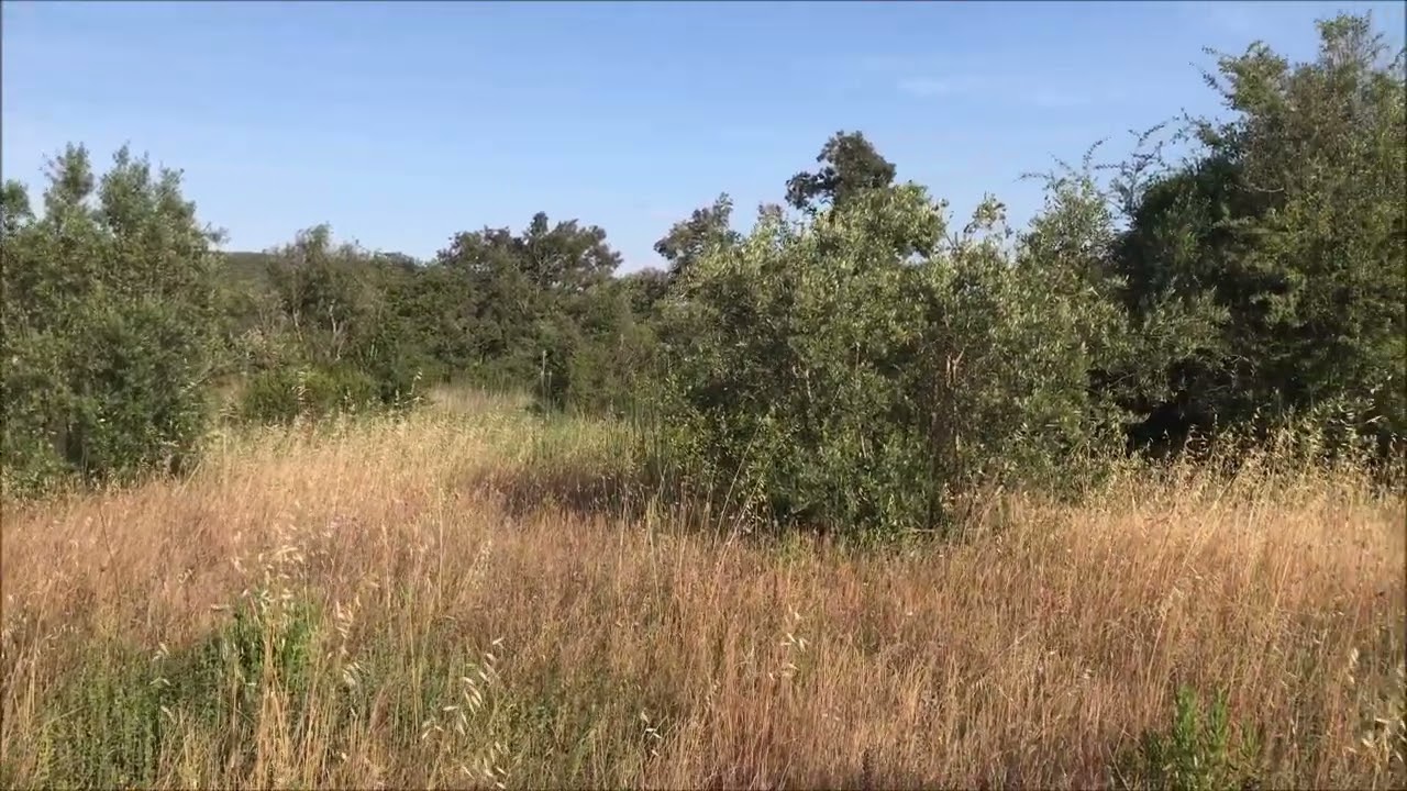 Vídeo do imóvel