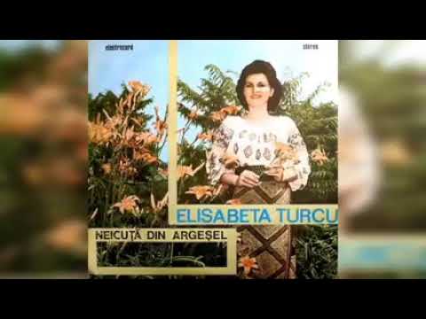 Elisabeta Turcu Neicuta din argesel