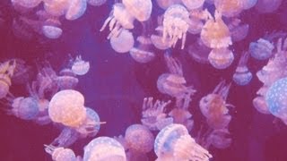 London Grammar - Metal &amp; Dust