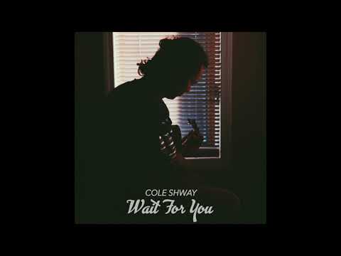 Cole Shway - Wait for You (Official Audio)