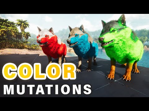 How to Breed Color Mutations ► Ark Survival Ascended