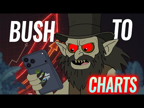 TATA DUENDE: RUN! | Bush To Charts