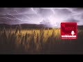 Rain Wind Heat 2025 Weather In Review