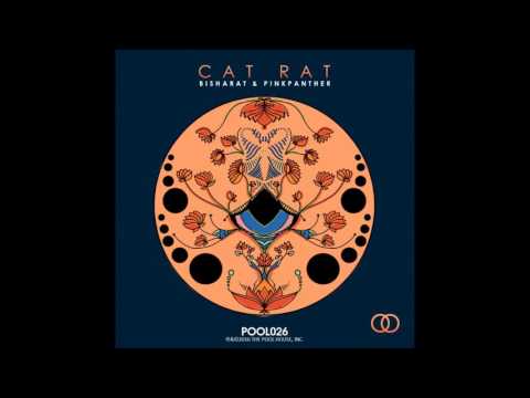 Bisharat & P!nkPanther - Raw (Original Mix)