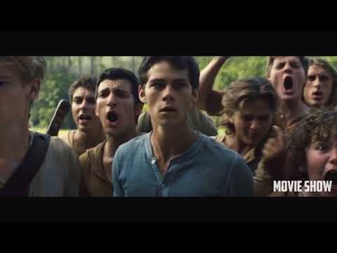 Томас впервые забегает в лабиринт