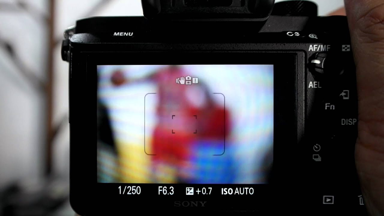 Архив_Объектив Sony FE 24-240mm f/3.5-6.3 OSS