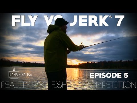 Fly vs Jerk 7 - EPISODE 5 - Kanalgratis.se