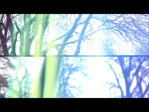 Ebb One + Jaba Da Kut | "Walk" | Music Video