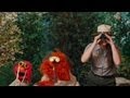 Sesame Street Grand Canyon Families