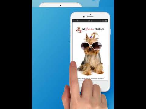 SA Yorkie Rescue video thumbnail