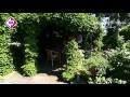 Zomertuin, aflevering 3 - 14 juli 2010