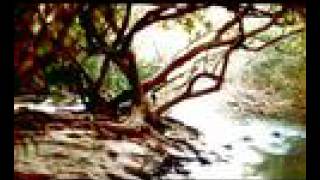 Bloody Siesta presentación Concordia