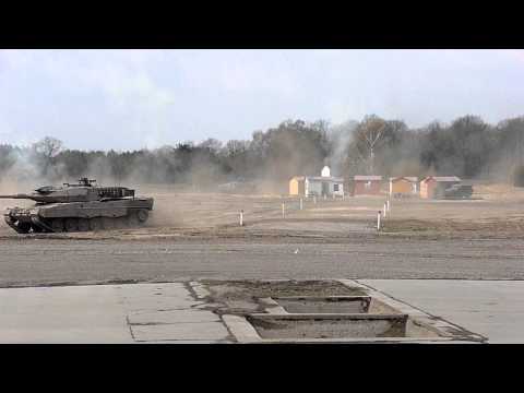 Leoparden und Marder im Angriff