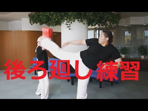【体固い奴が後ろ回し蹴りをひたすら練習】ハヤテ流格闘技