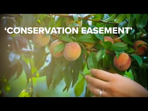 California's golden agriculture reputation requires balance, says farm land trust