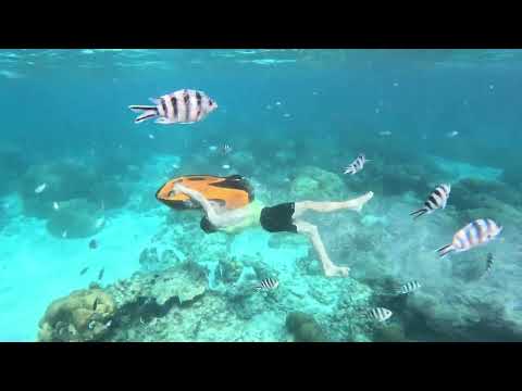Miniature de la vidéo : La sensation de torpille humaine