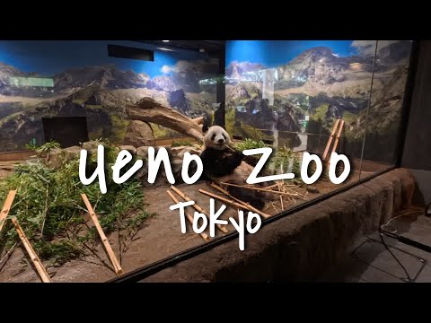 Ueno Zoo | Tokyo | Japan