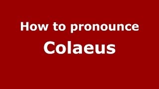 How to pronounce Colaeus