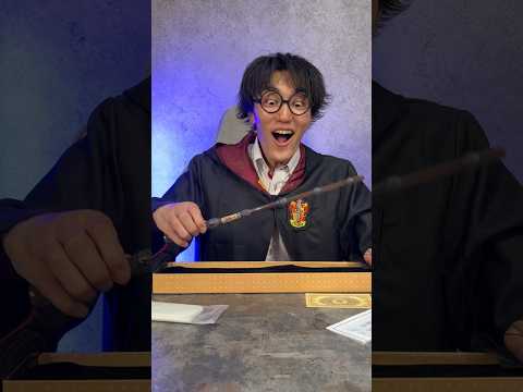 I Got a Harry Potter Wand!