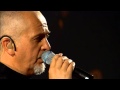 Peter Gabriel Growing Up tour (Darkness)2003