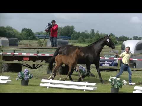 SF2016 Don Nobless Scolari