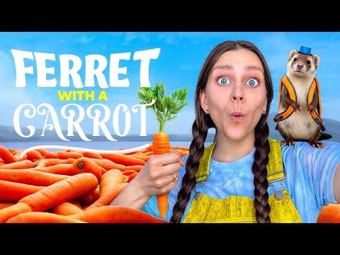 Ferret with a Carrot - Official Music Video