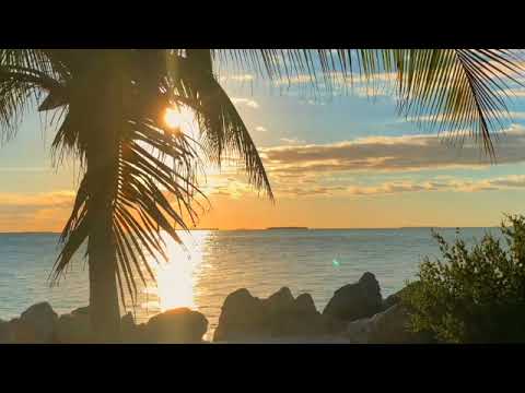 432 Hz Reggae Music 🔥Reggae Music in 432 Hz🔥