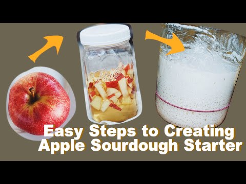 Easy Steps to Creating Apple Sourdough Starter