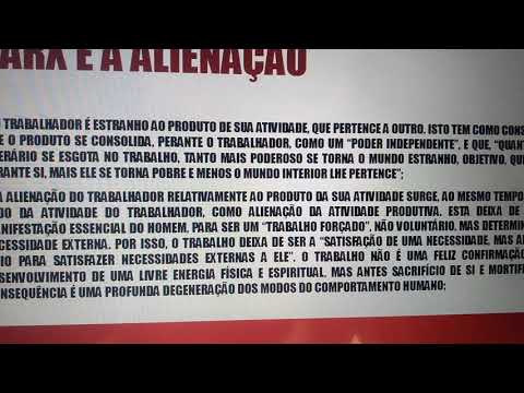 Divisão social do trabalho