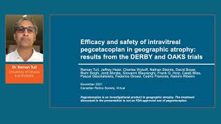 Efficacy and safety of intravitreal pegcetacoplan in geographic atrophy: results from the DERBY and OAKS trials