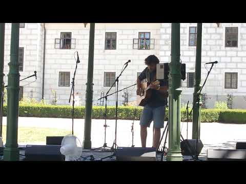 Michal Willie Sedláček - Michal Willie Sedláček: Buk a bříza