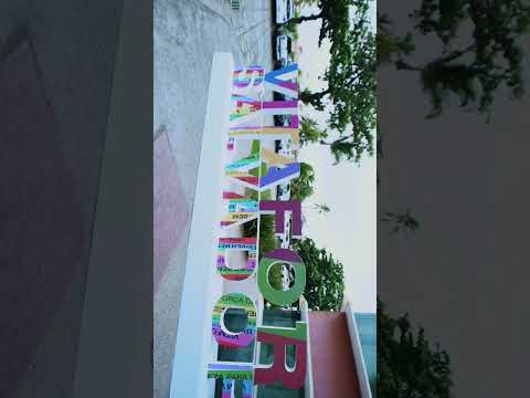 8º Congresso Vitafor Science - Salvador - Bahia - 2022 Dia 1