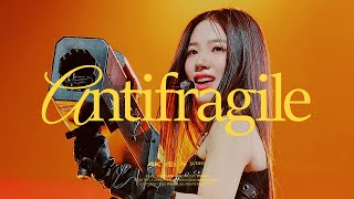 Cover art for Antifragile - MMA 2022