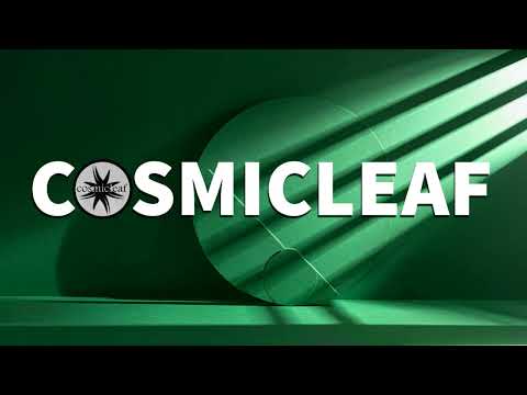 Drum & Bass : Kick Bong - A fresh Air In My Head